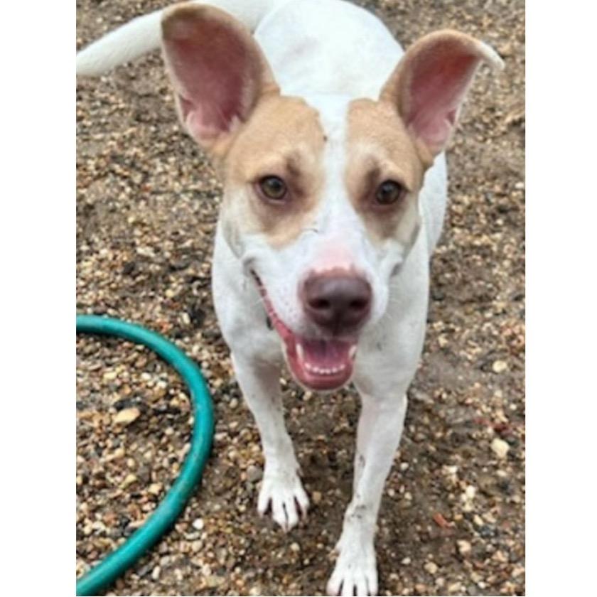 Ella — thumbnail 6