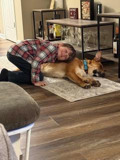 Merv, a ADOPTABLE mixed breed in Manhasset, NY image 3/6