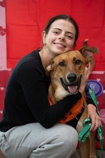 Merv, a ADOPTABLE mixed breed in Manhasset, NY image 1/6