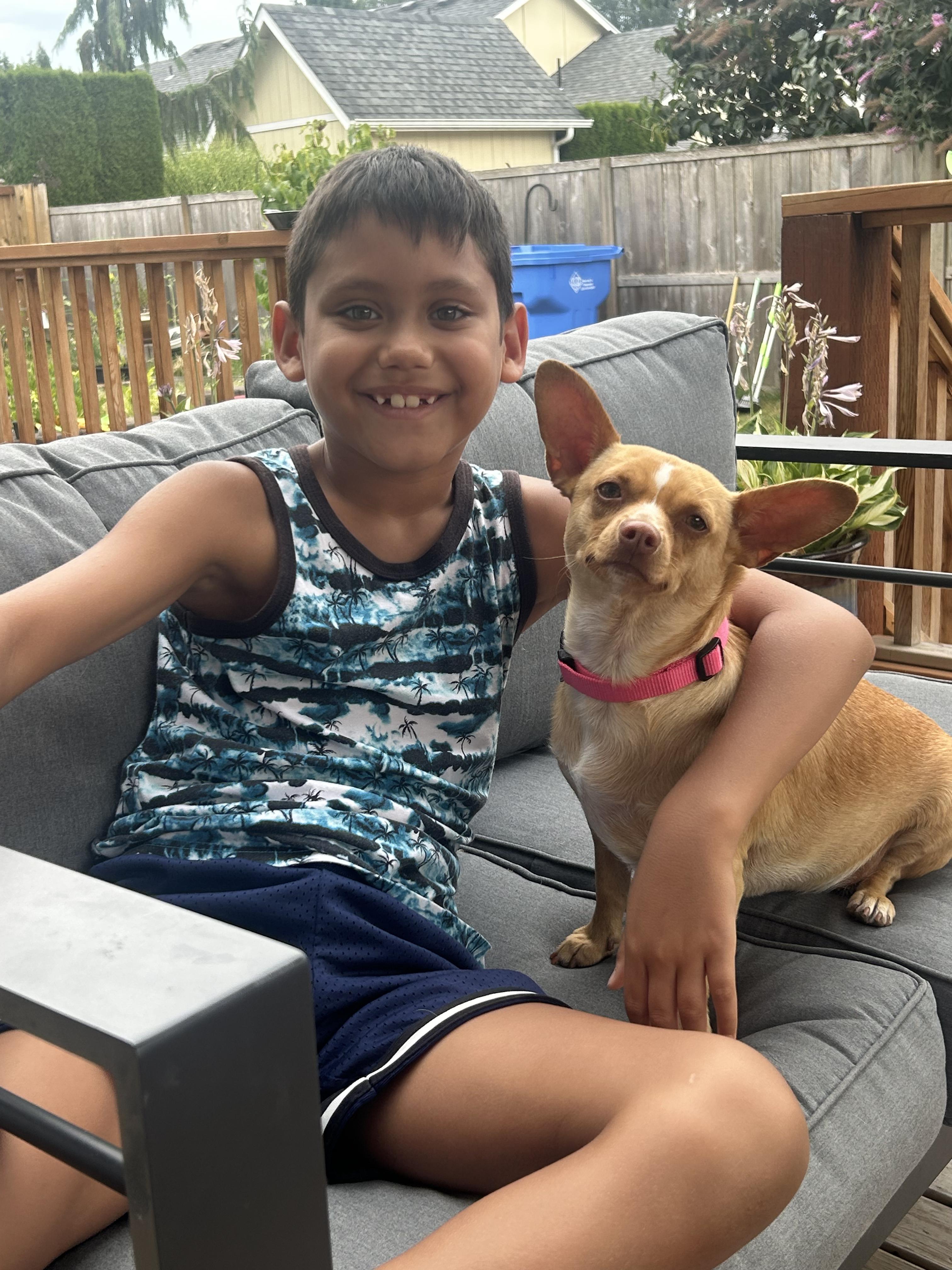 Enlarge Hazel, a Adopted mixed breed in Tacoma, WA image 4/6