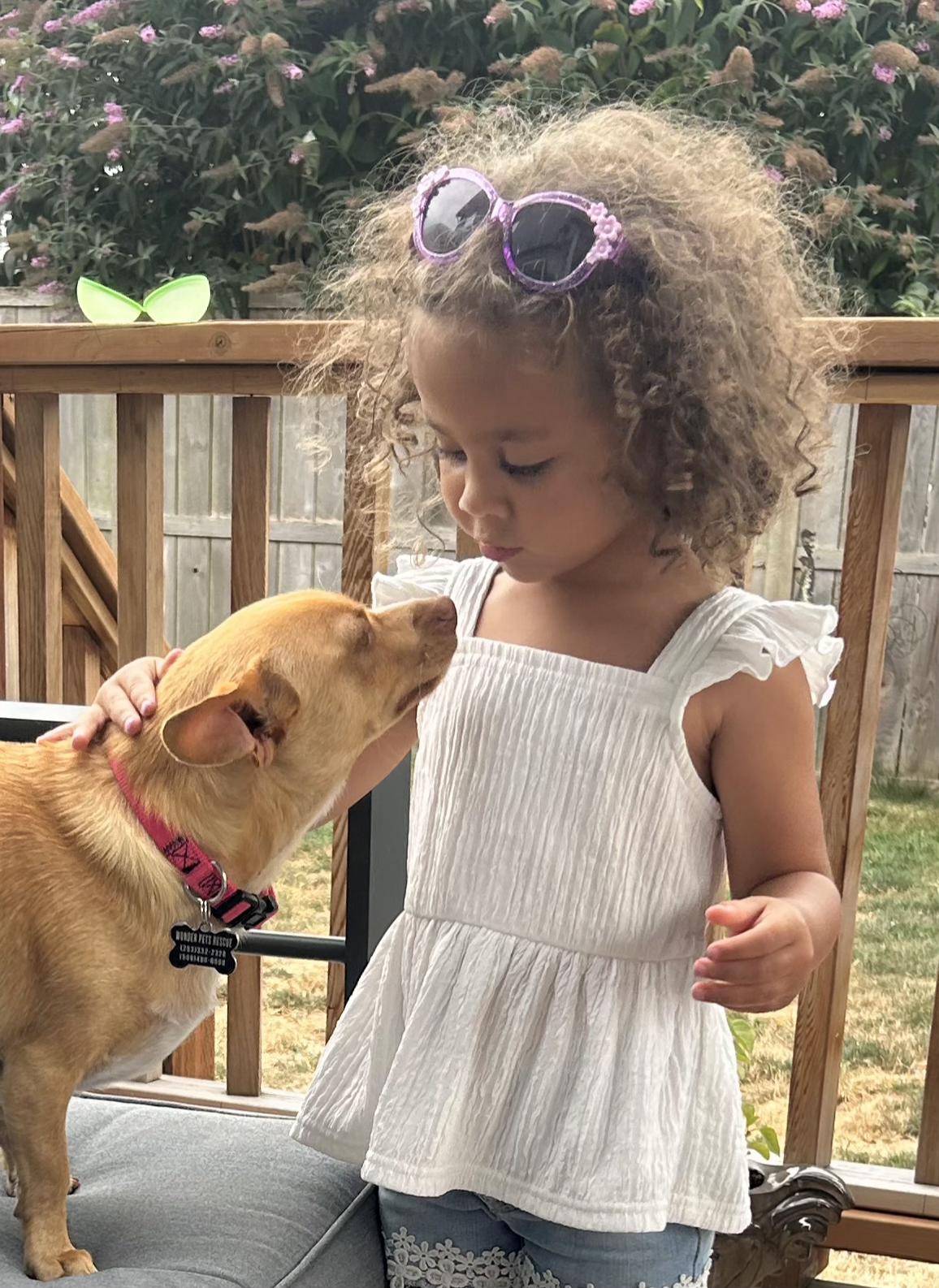 Enlarge Hazel, a Adopted mixed breed in Tacoma, WA image 5/6