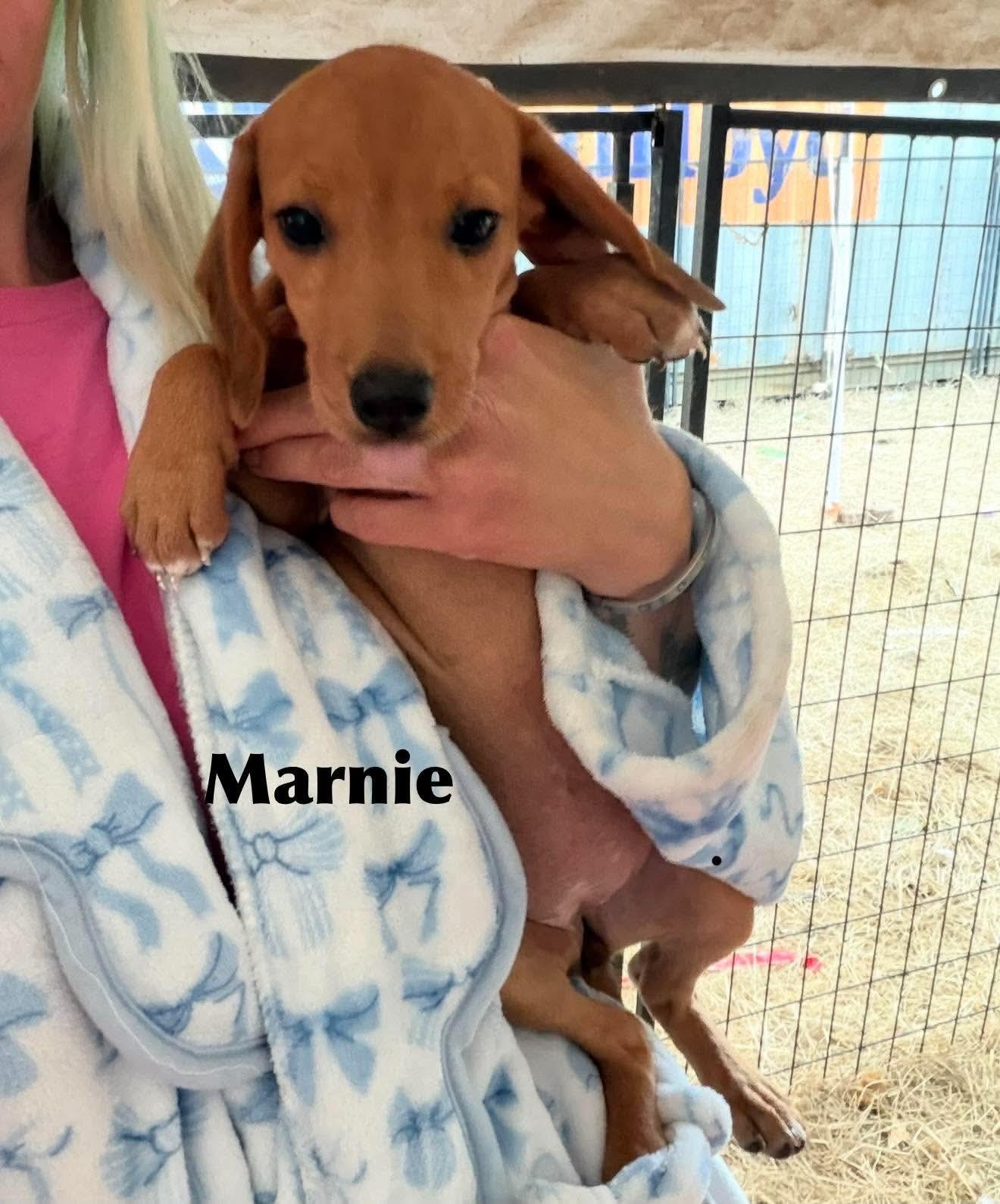 Marnie SS in MS photo