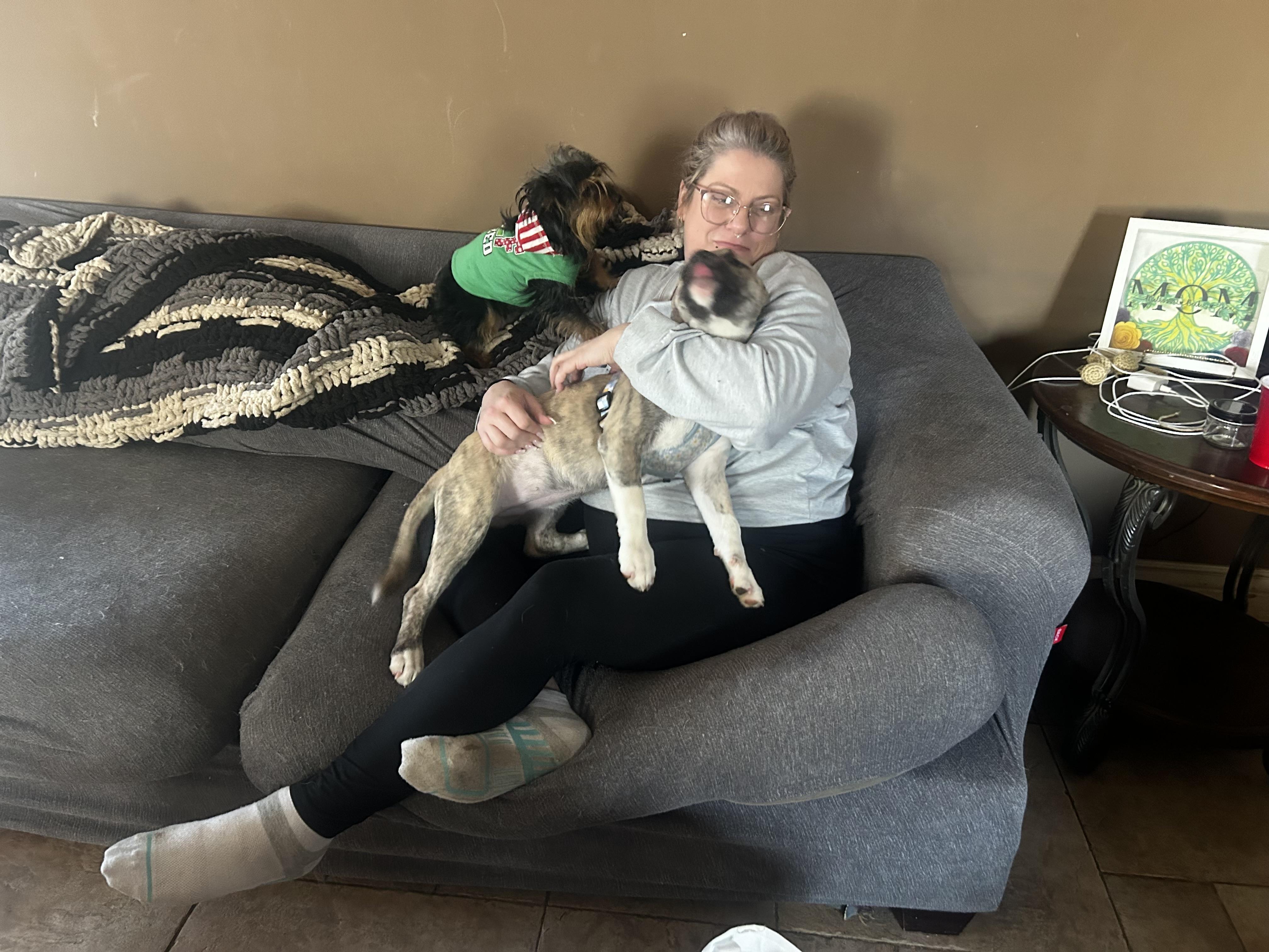 Enlarge Kisses, a Adoptable mixed breed in Wrightstown, NJ image 2/5