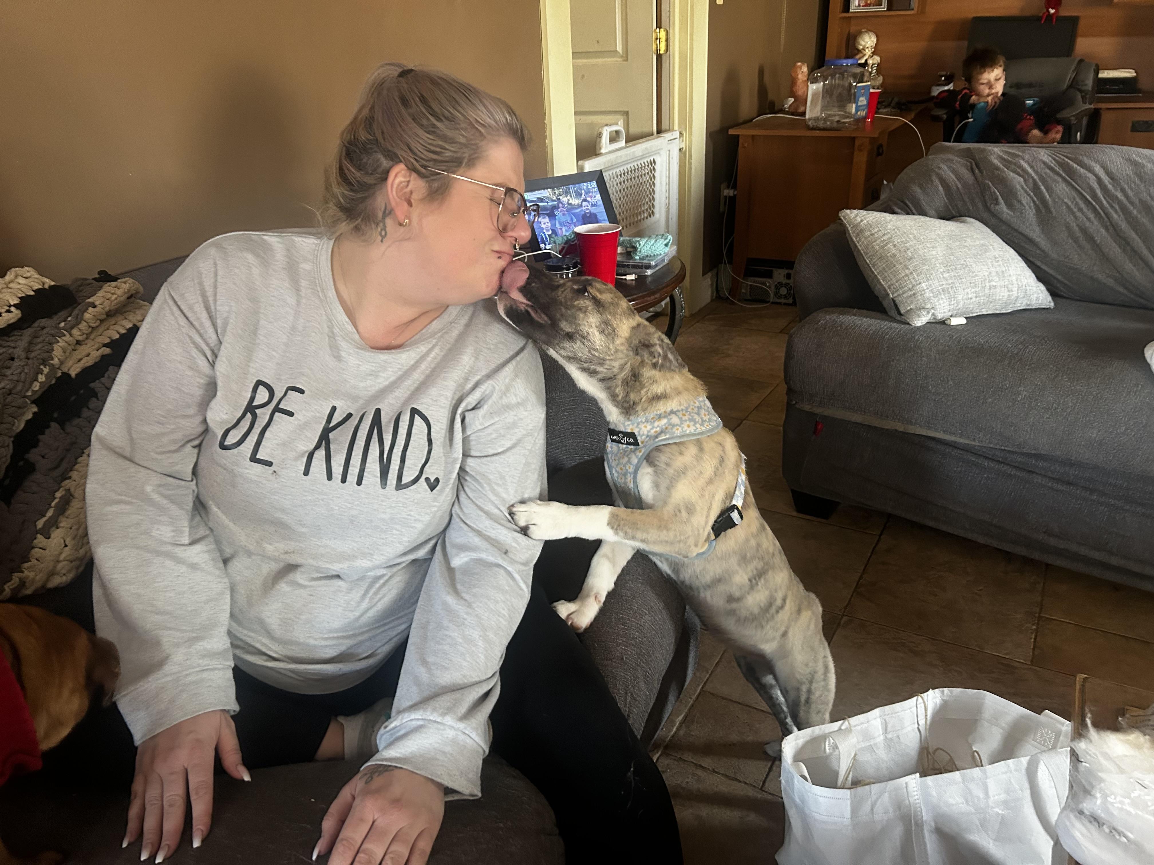 Enlarge Kisses, a Adoptable mixed breed in Wrightstown, NJ image 5/5