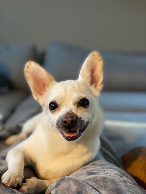 Oscar