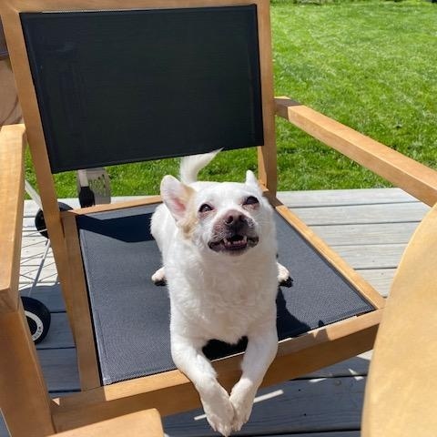 Oscar