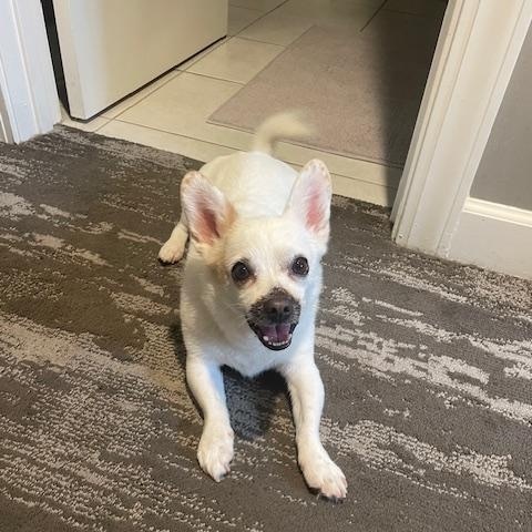 Oscar