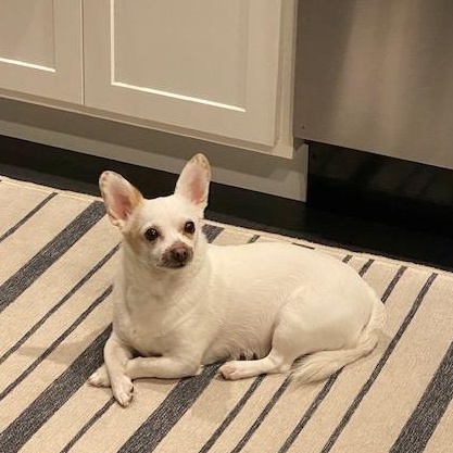 Oscar
