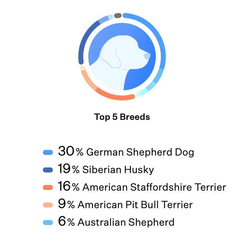 Val, a Adoptable mixed breed in San Francisco, CA image 4/6