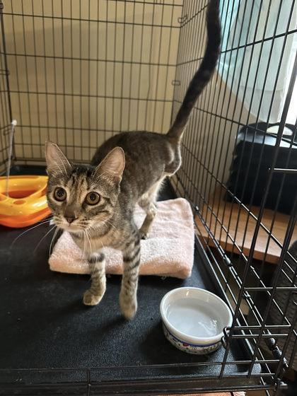 Mariah — thumbnail 2