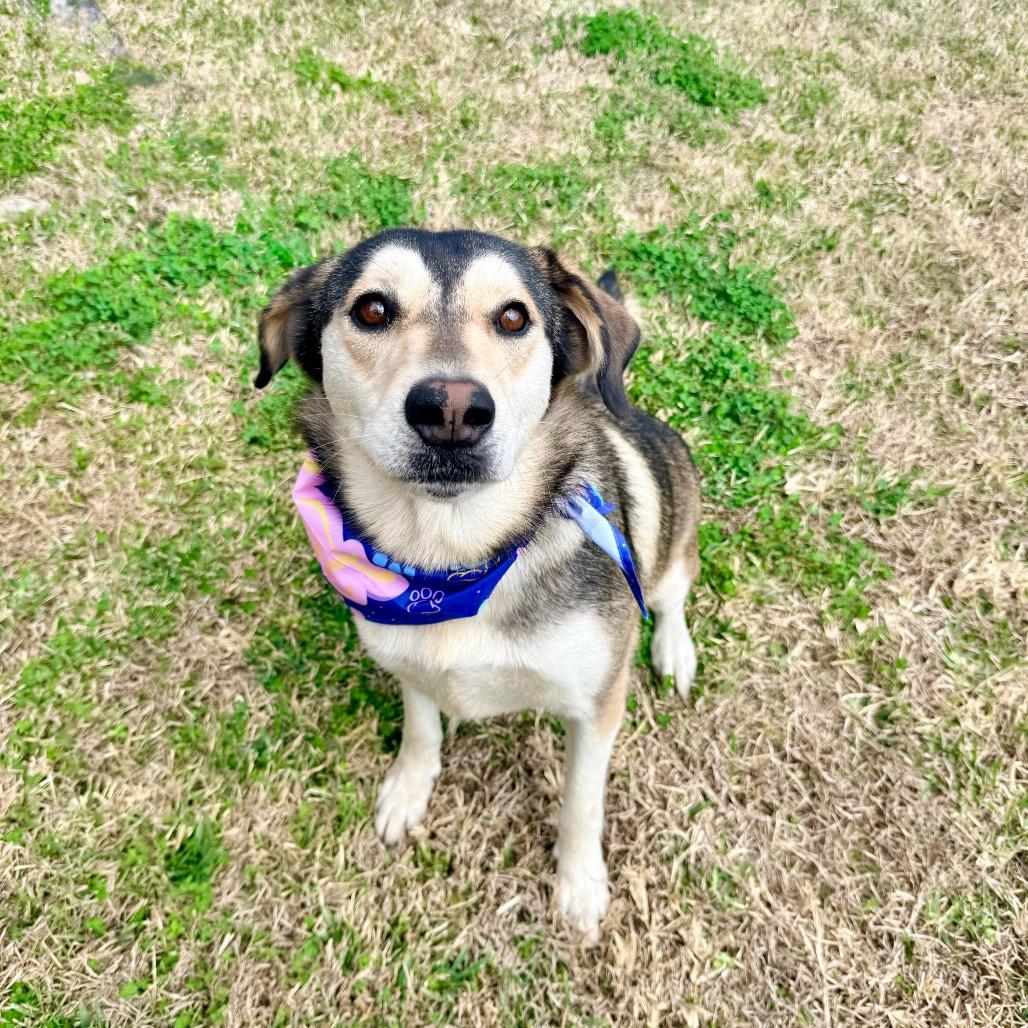 Montana — thumbnail 4