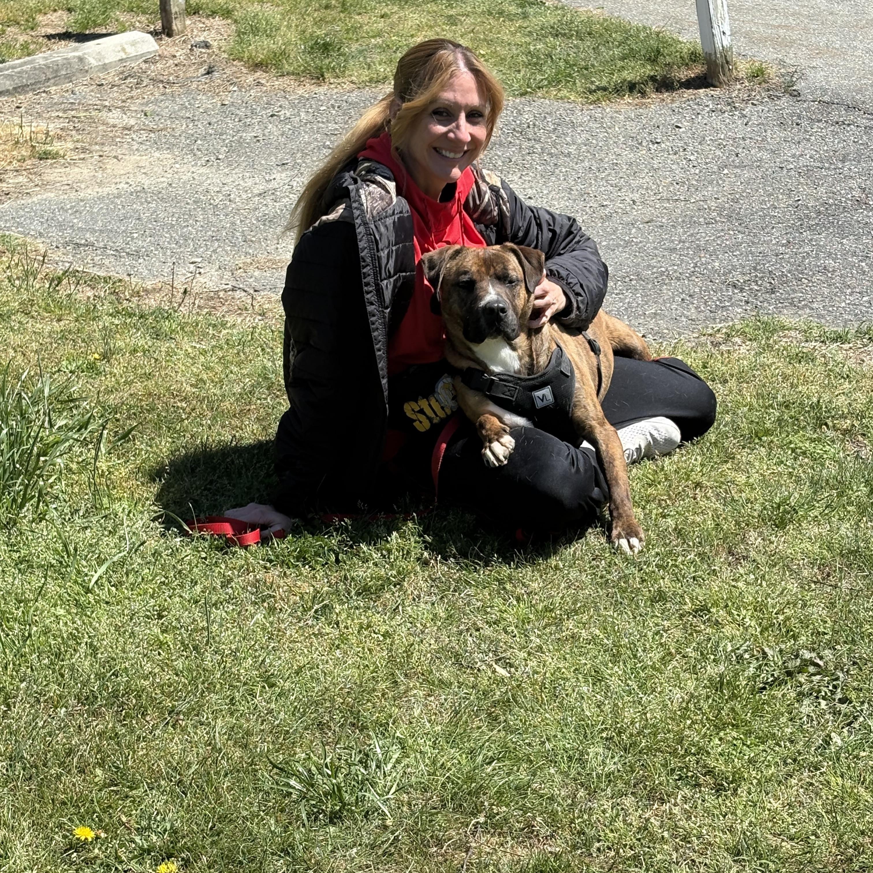 Enlarge Arnie, a Adoptable mixed breed in Saluda, VA image 6/6