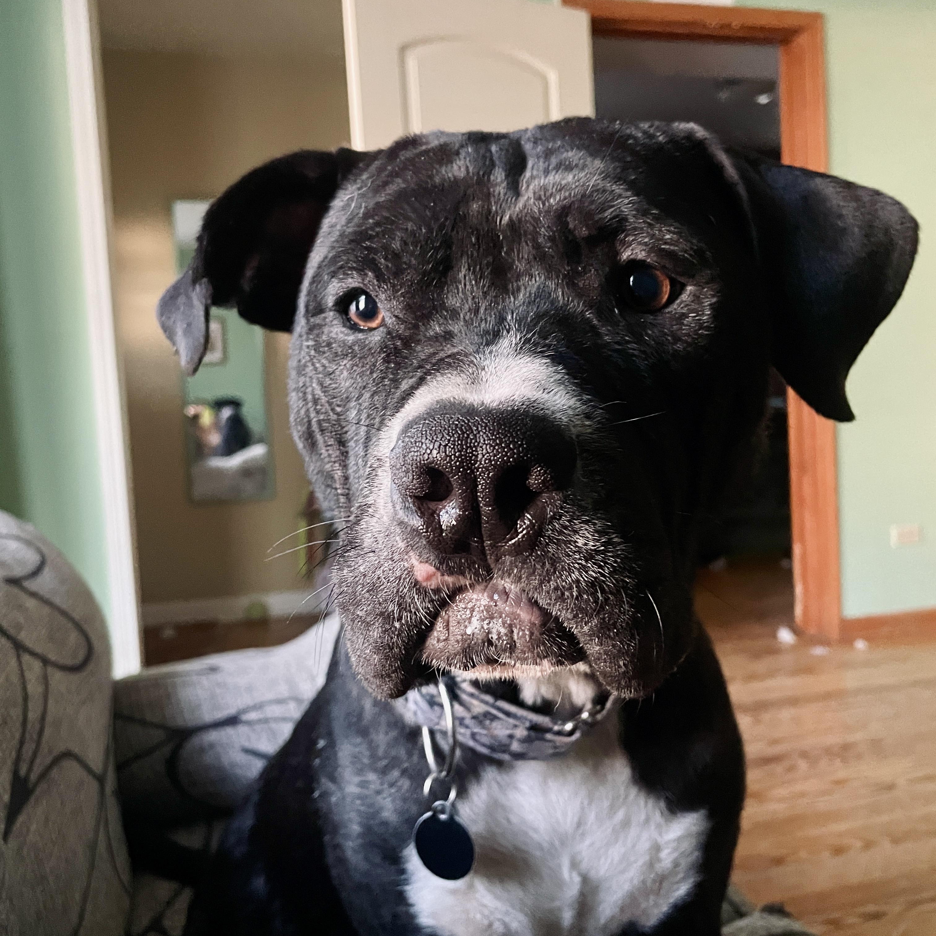 Lenny thumbnail 2