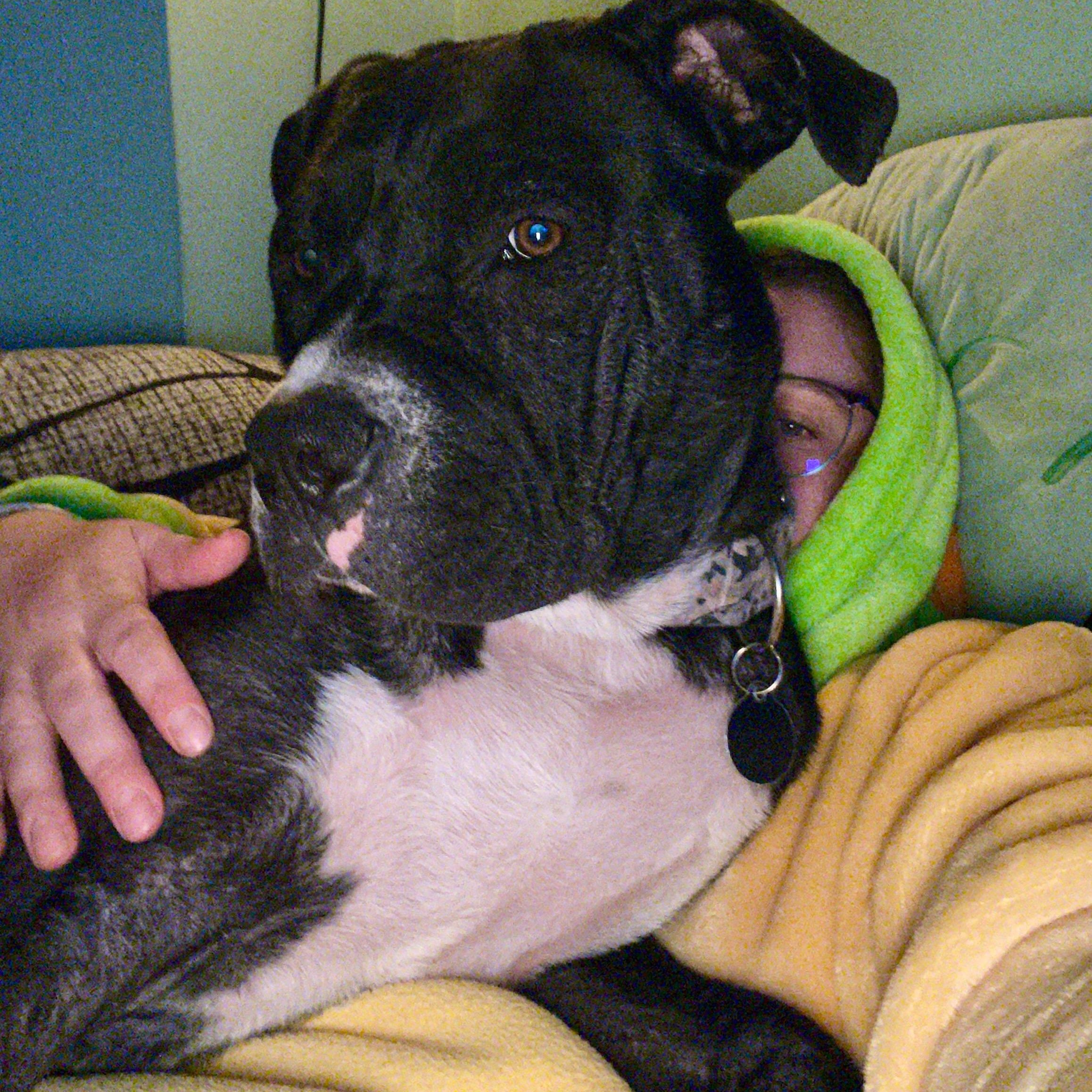 Lenny thumbnail 3