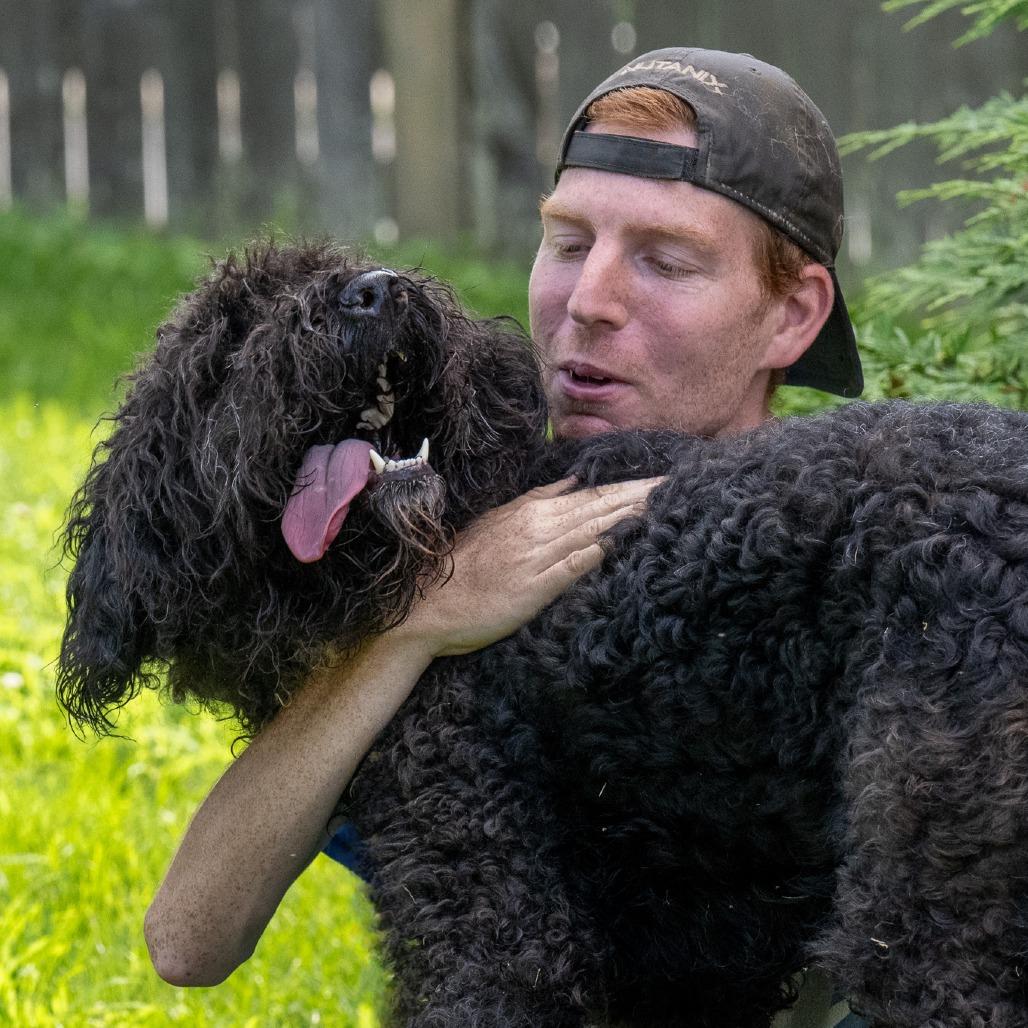 Enlarge Babette, a Adoptable mixed breed in Chester Springs, PA image 6/6