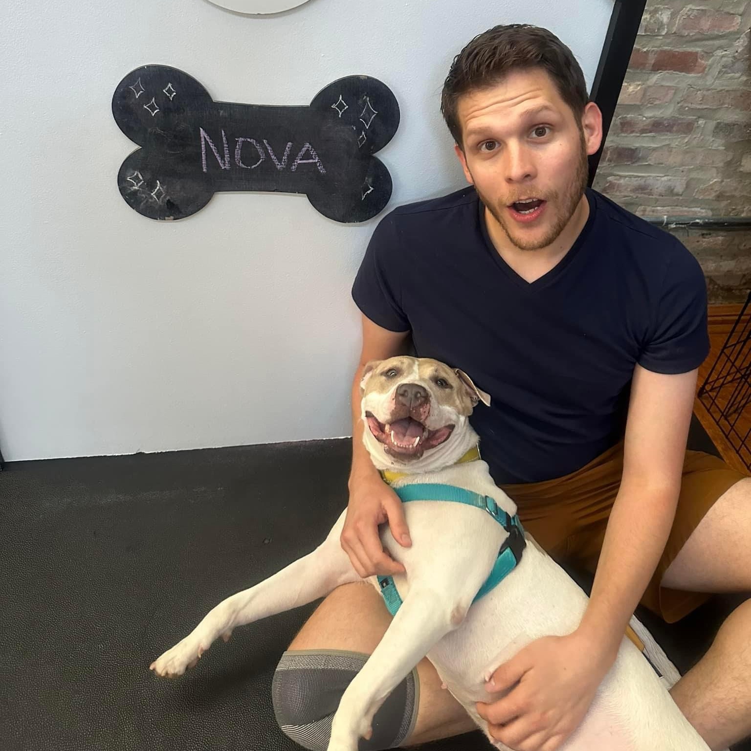 Nova