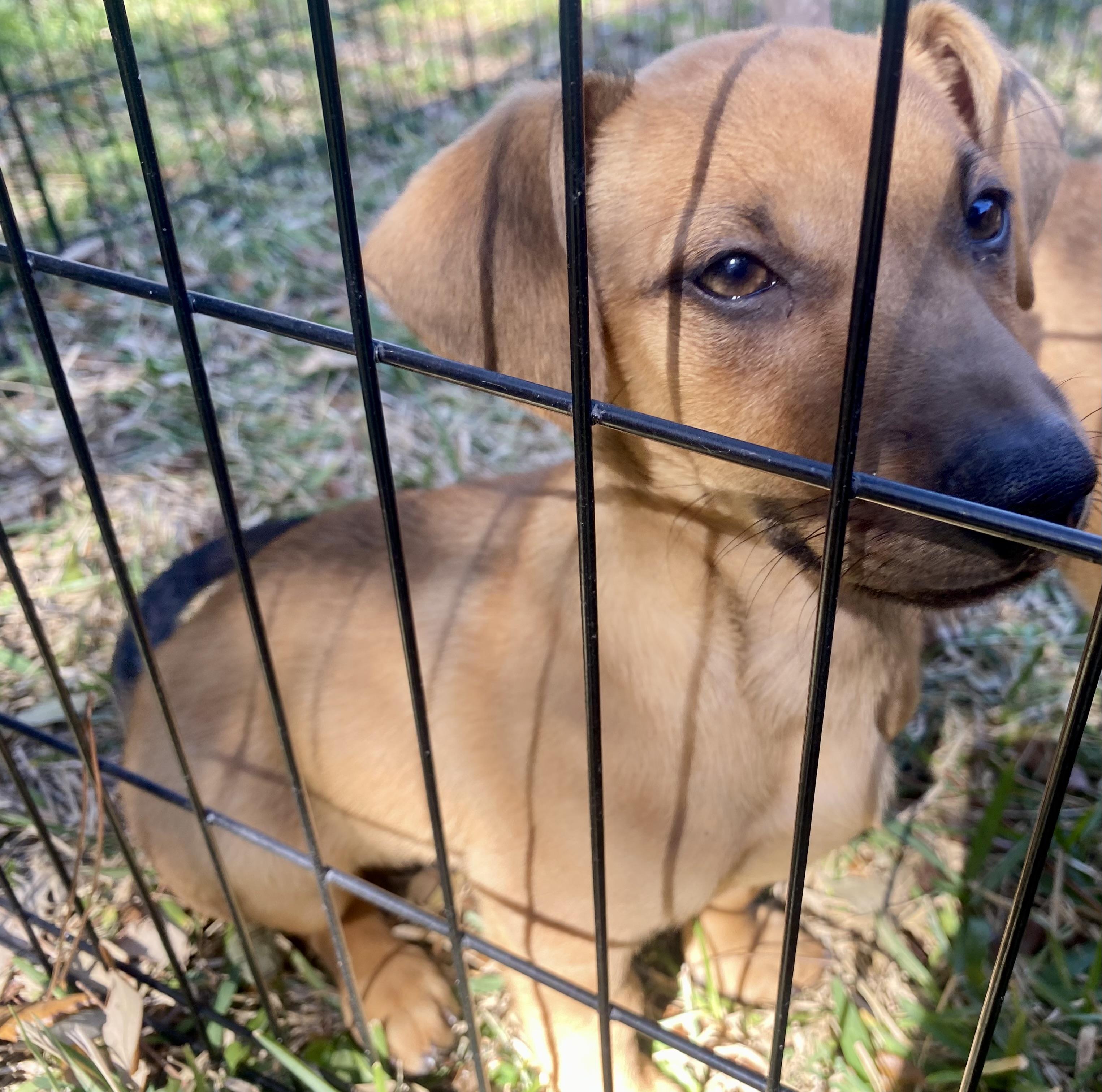 Jack — thumbnail 3