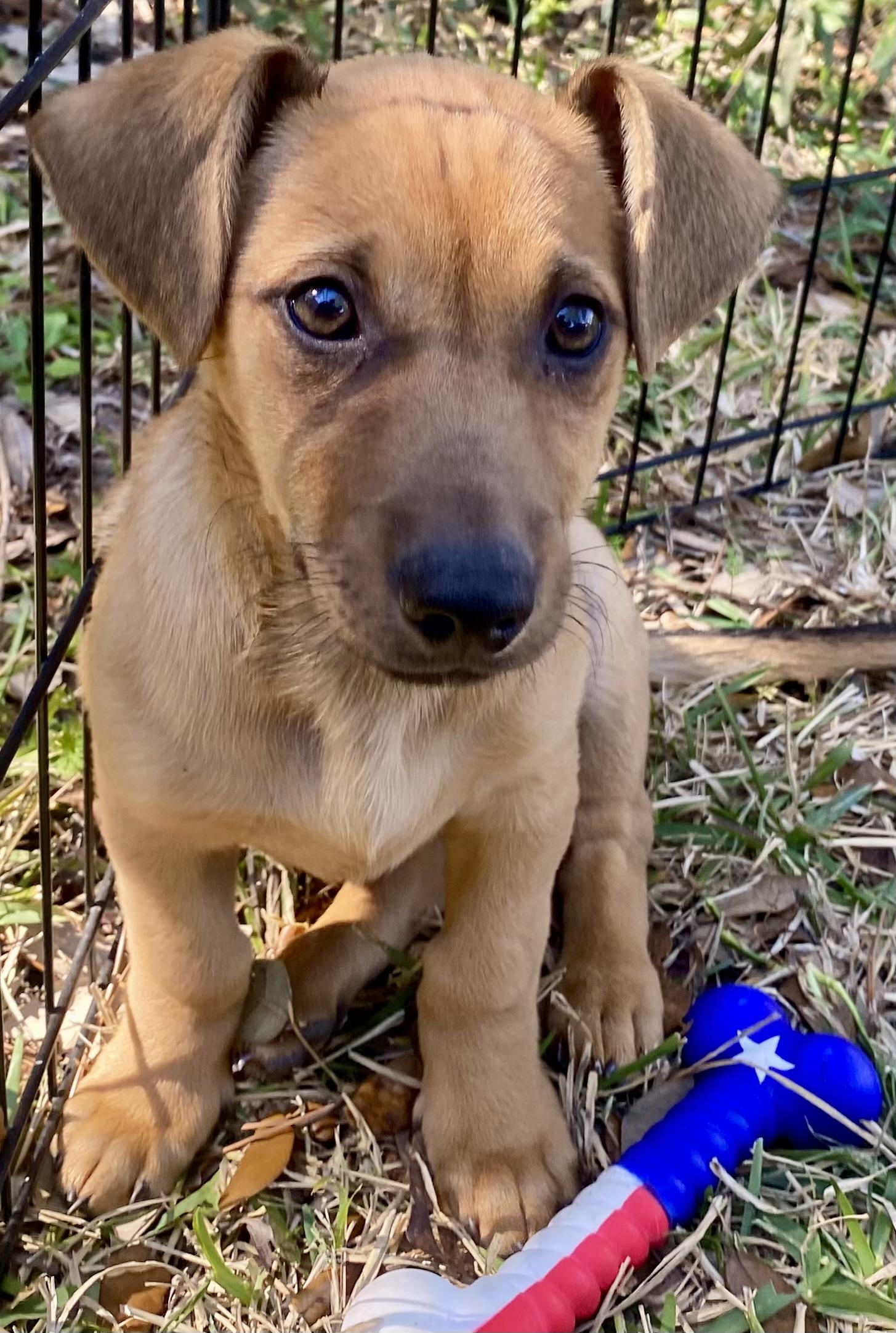 Jack — thumbnail 4