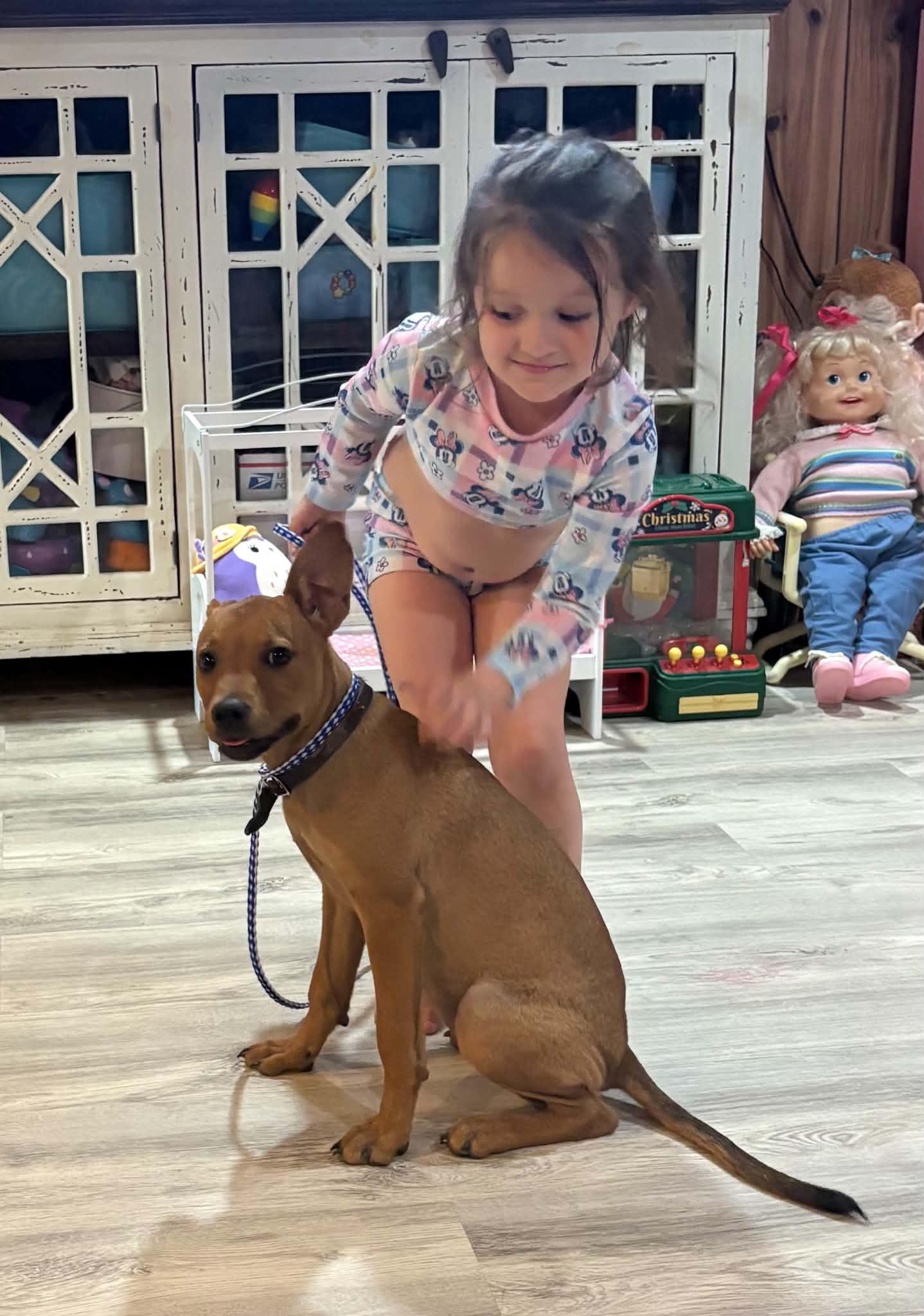 Penny, a ADOPTABLE mixed breed in Jesup, GA image 5/5