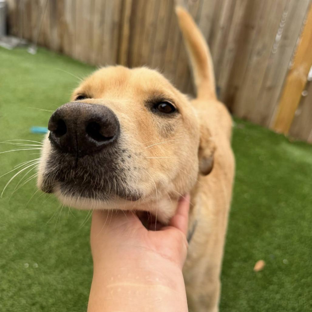 Nathan — thumbnail 2