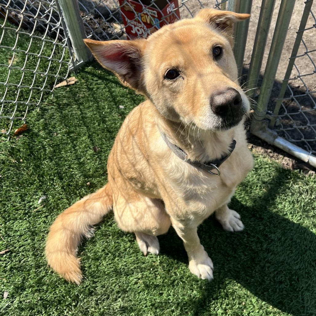 Nathan — thumbnail 3