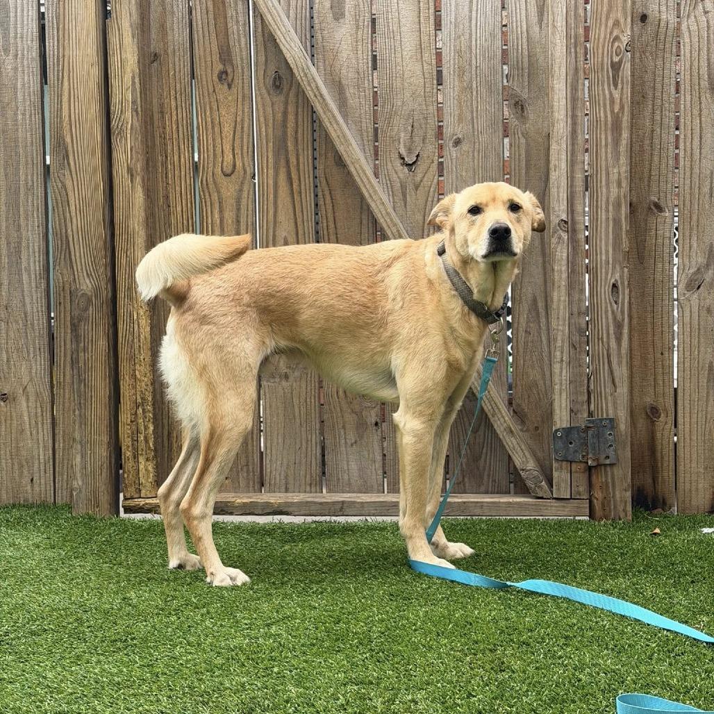 Nathan — thumbnail 4