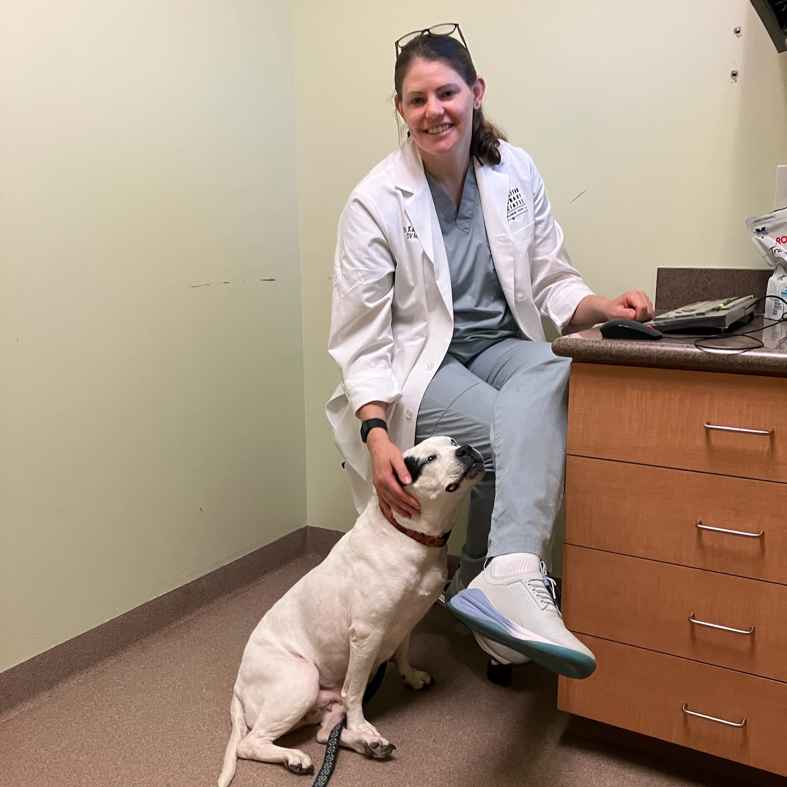 A very special senior, Princess, a Adopted Mixed Breed in Pottstown, PA image 4/6