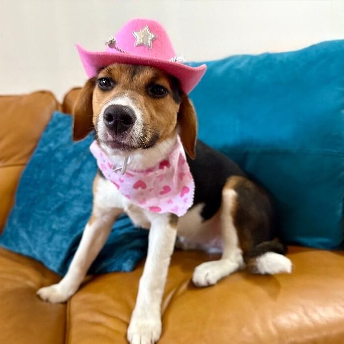 Penny Petite Peanut — thumbnail 2