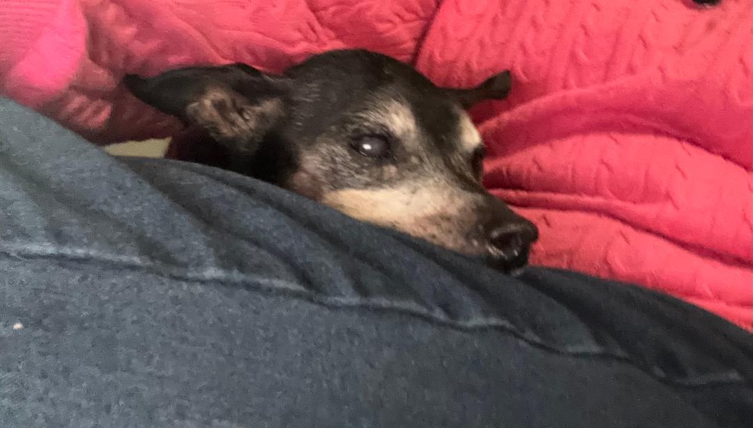 Martin — thumbnail 2