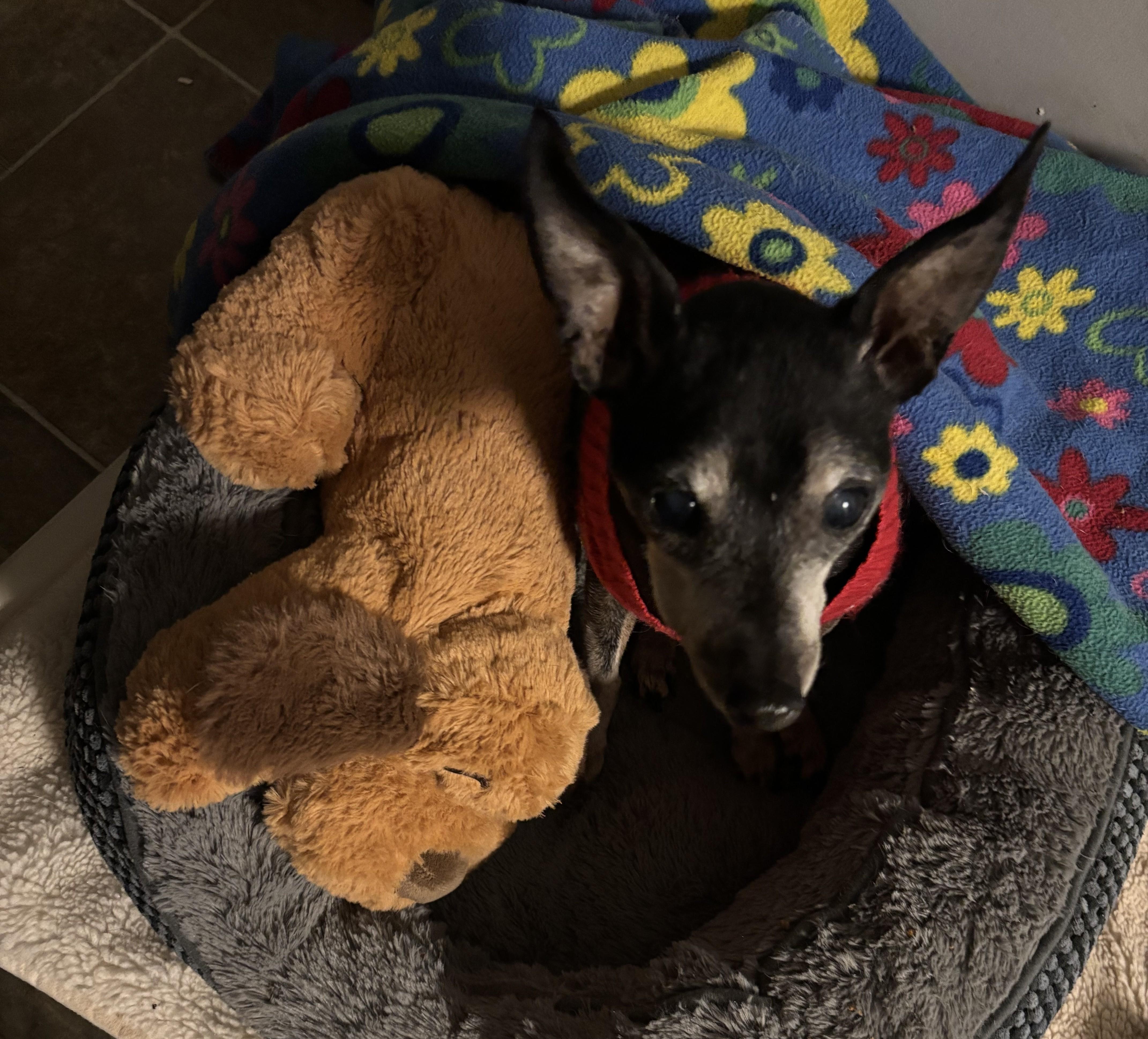 Martin — thumbnail 5