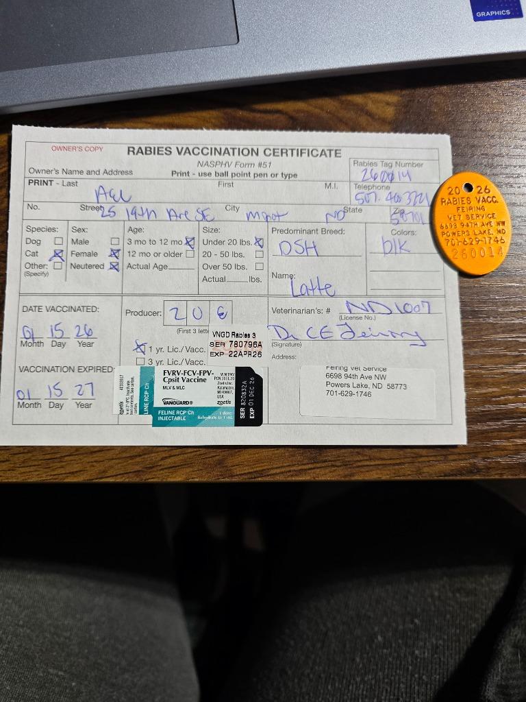 Latte, a Adopted mixed breed in Minot, ND image 3/6