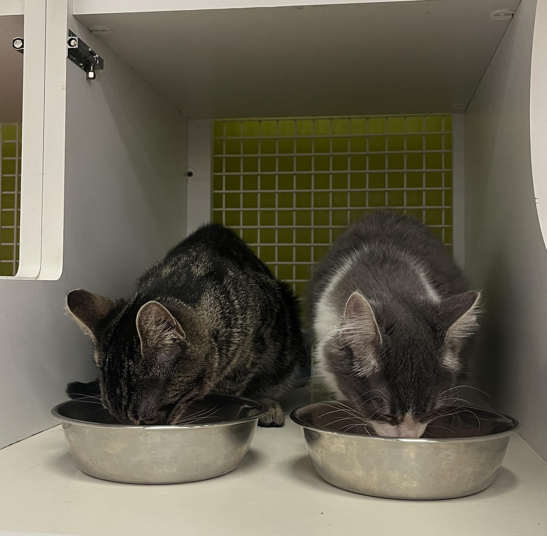 Winter and Willis INDOOR ONLY