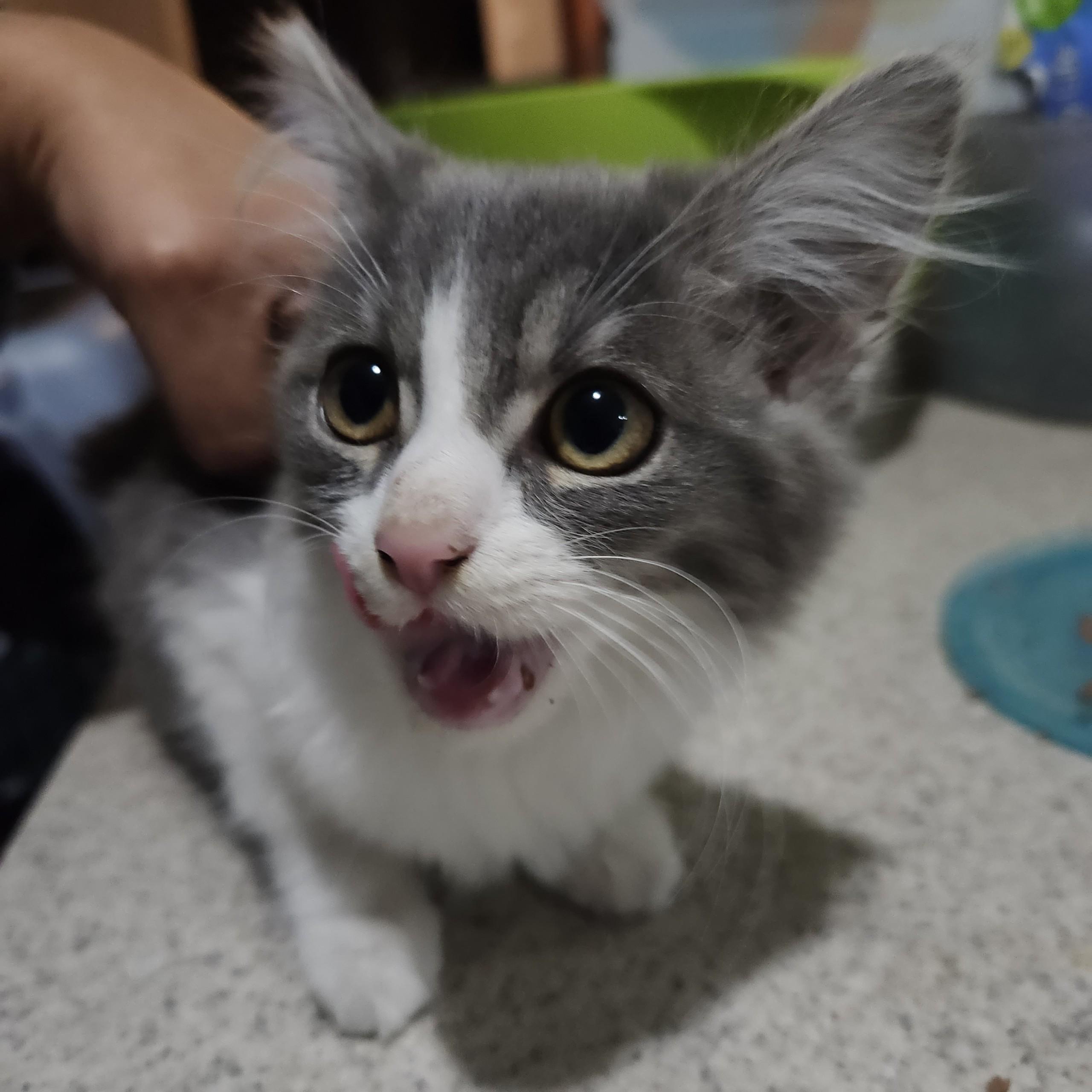 Winter and Willis INDOOR ONLY — thumbnail 2