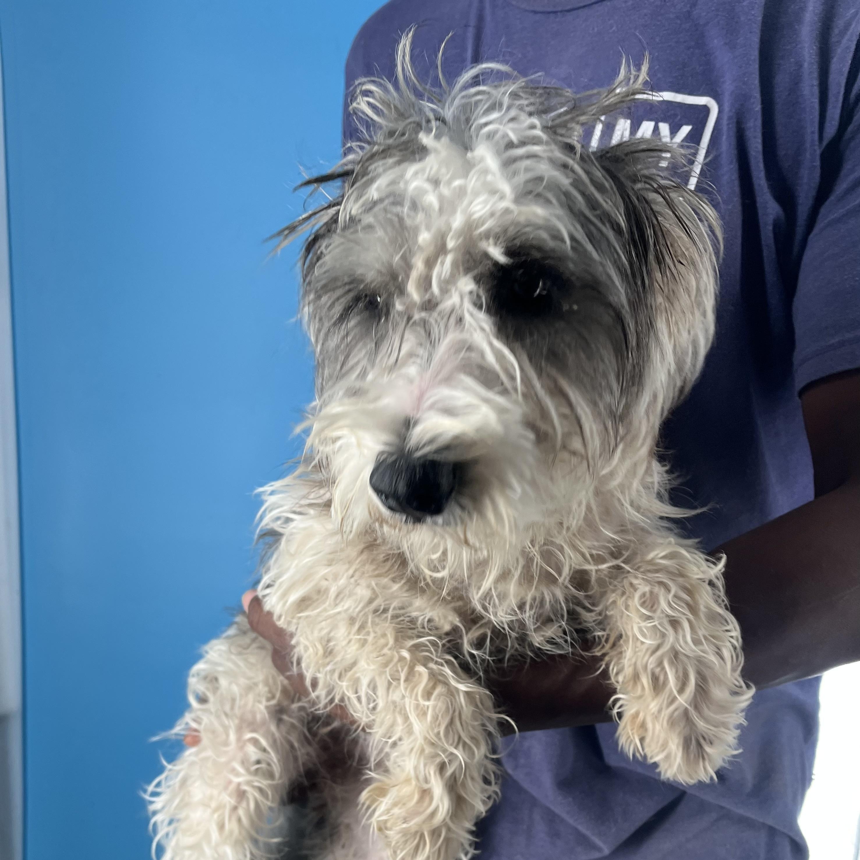 Jackson Local Dec thumbnail 3