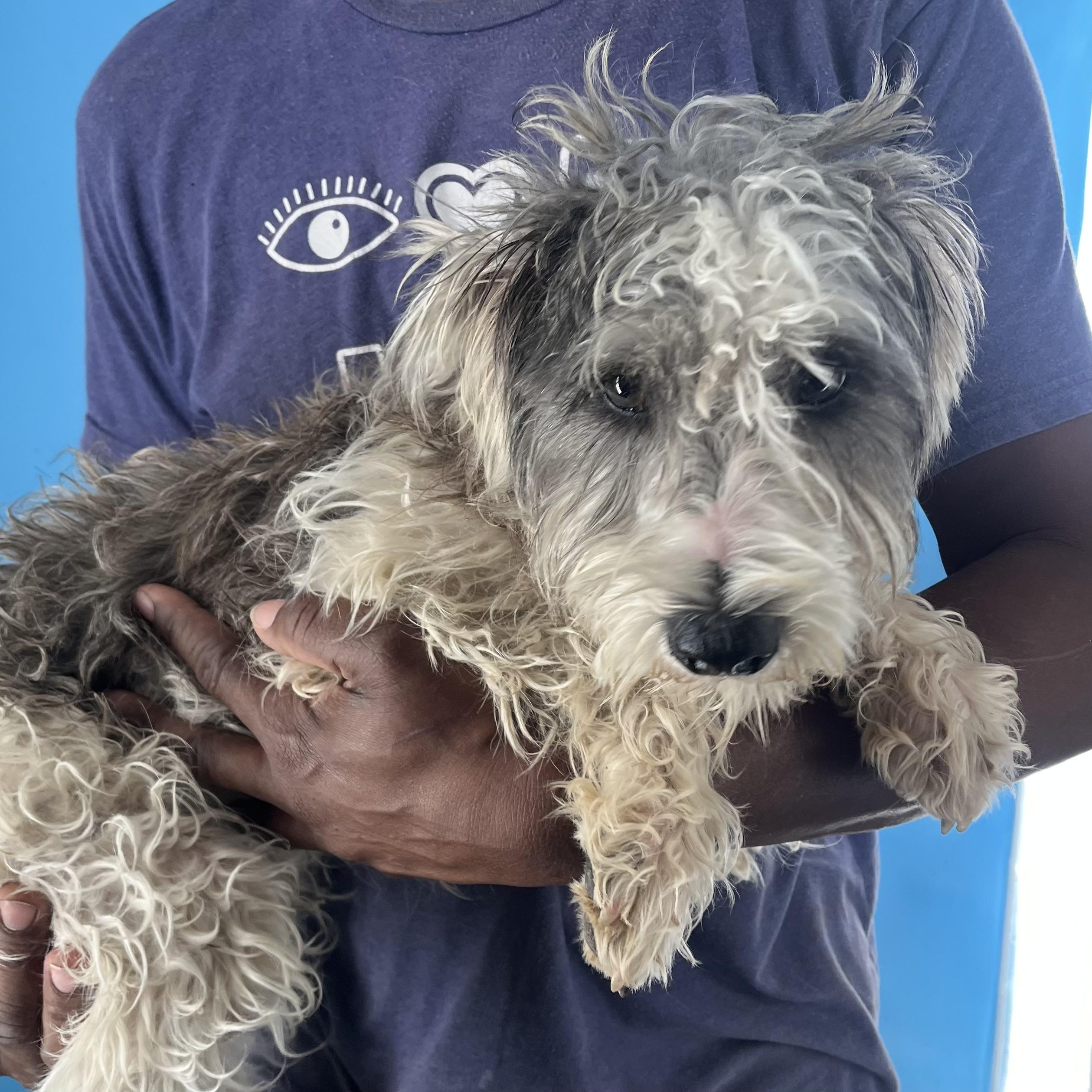 Jackson Local Dec thumbnail 6