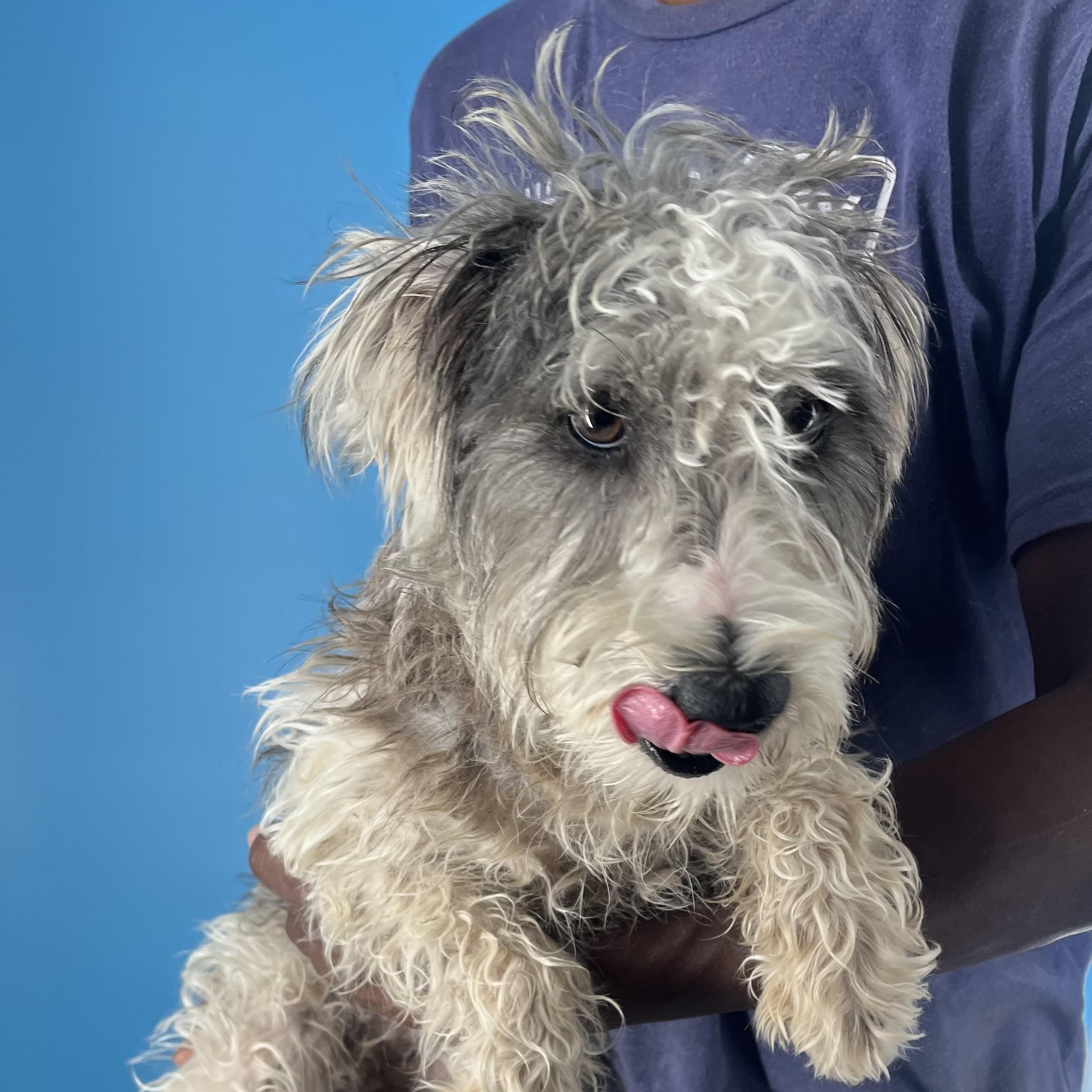 Jackson Local Dec thumbnail 2