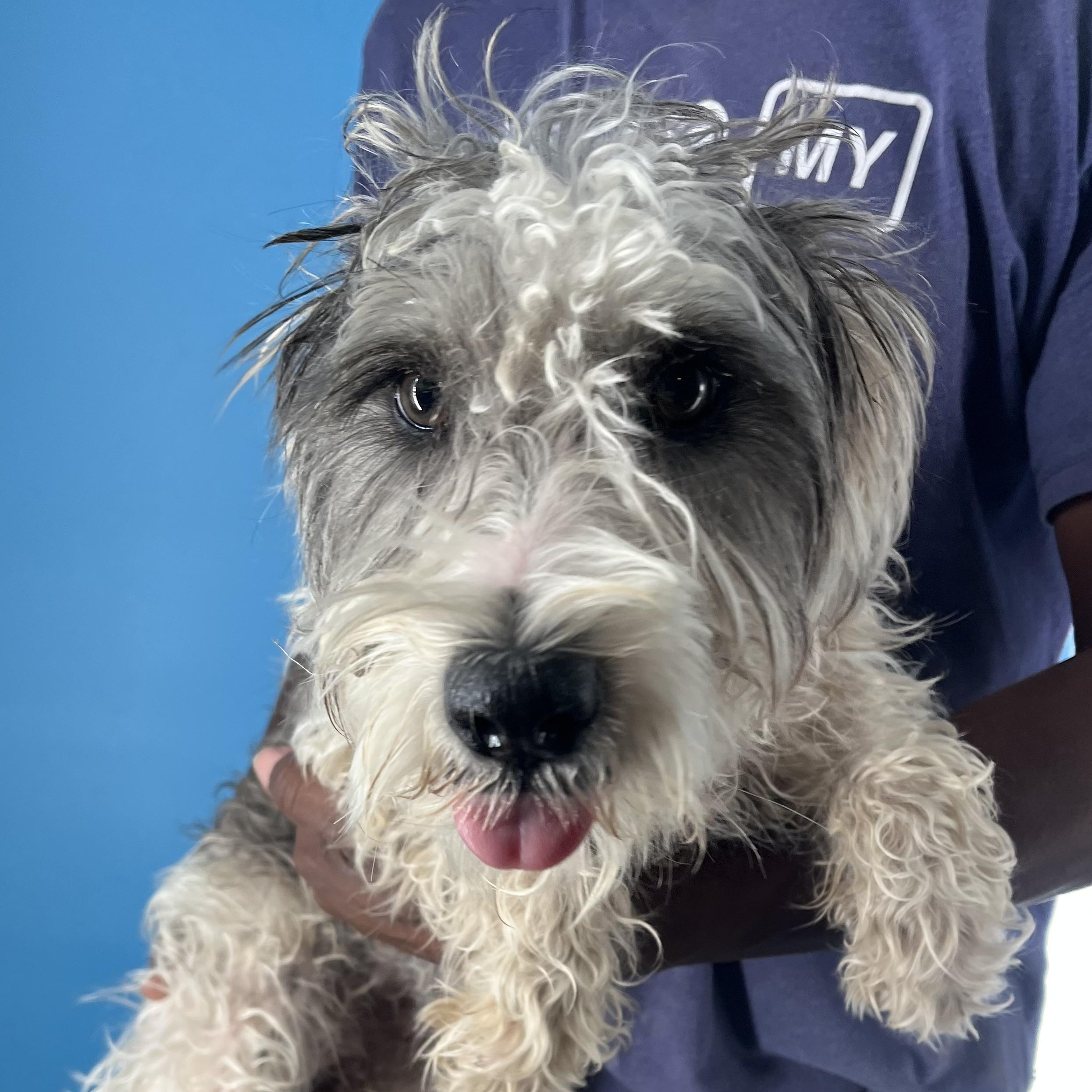 Jackson Local Dec thumbnail 4