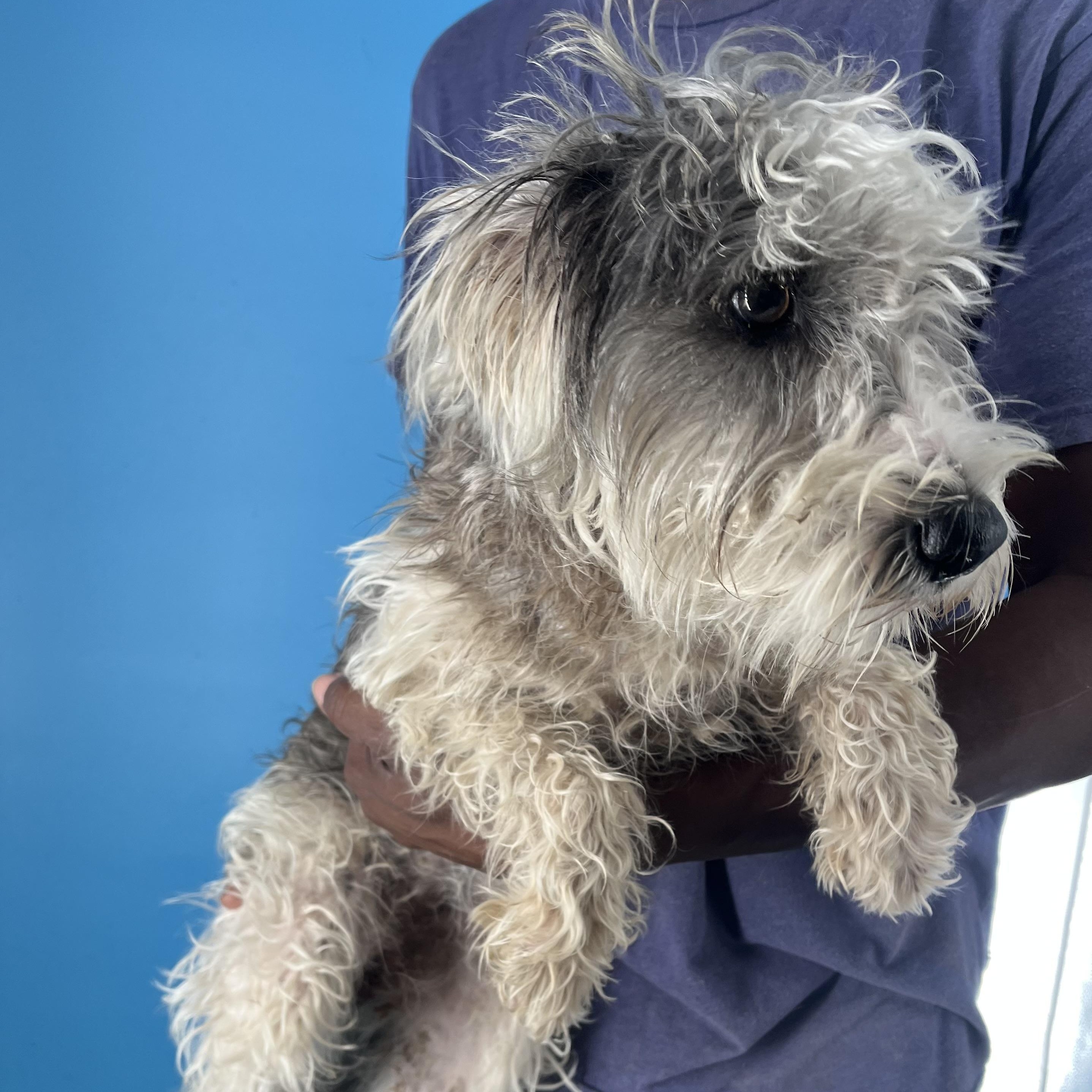 Jackson Local Dec thumbnail 5