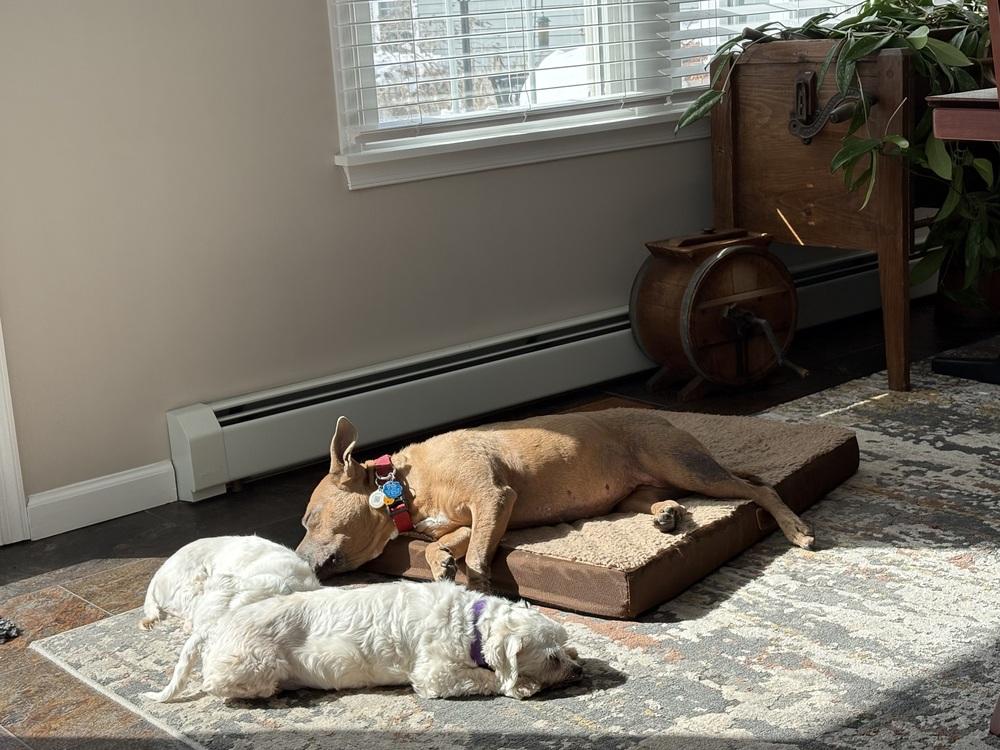 Cashmere — thumbnail 5