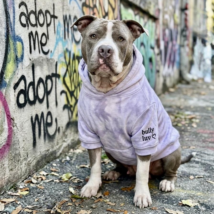 Enlarge Bertha, a ADOPTABLE mixed breed in Deltona, FL image 3/4