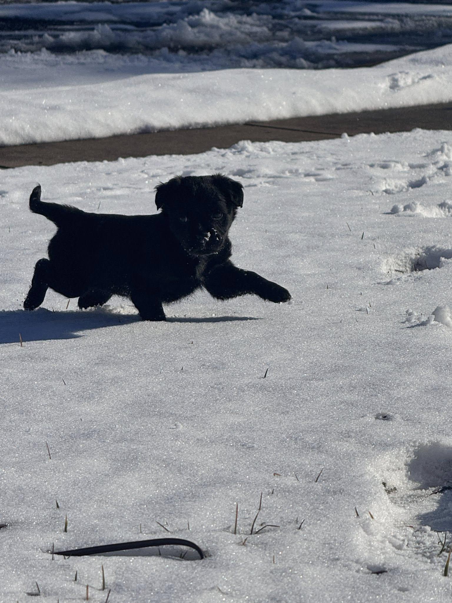 Baby Cocoa thumbnail 5