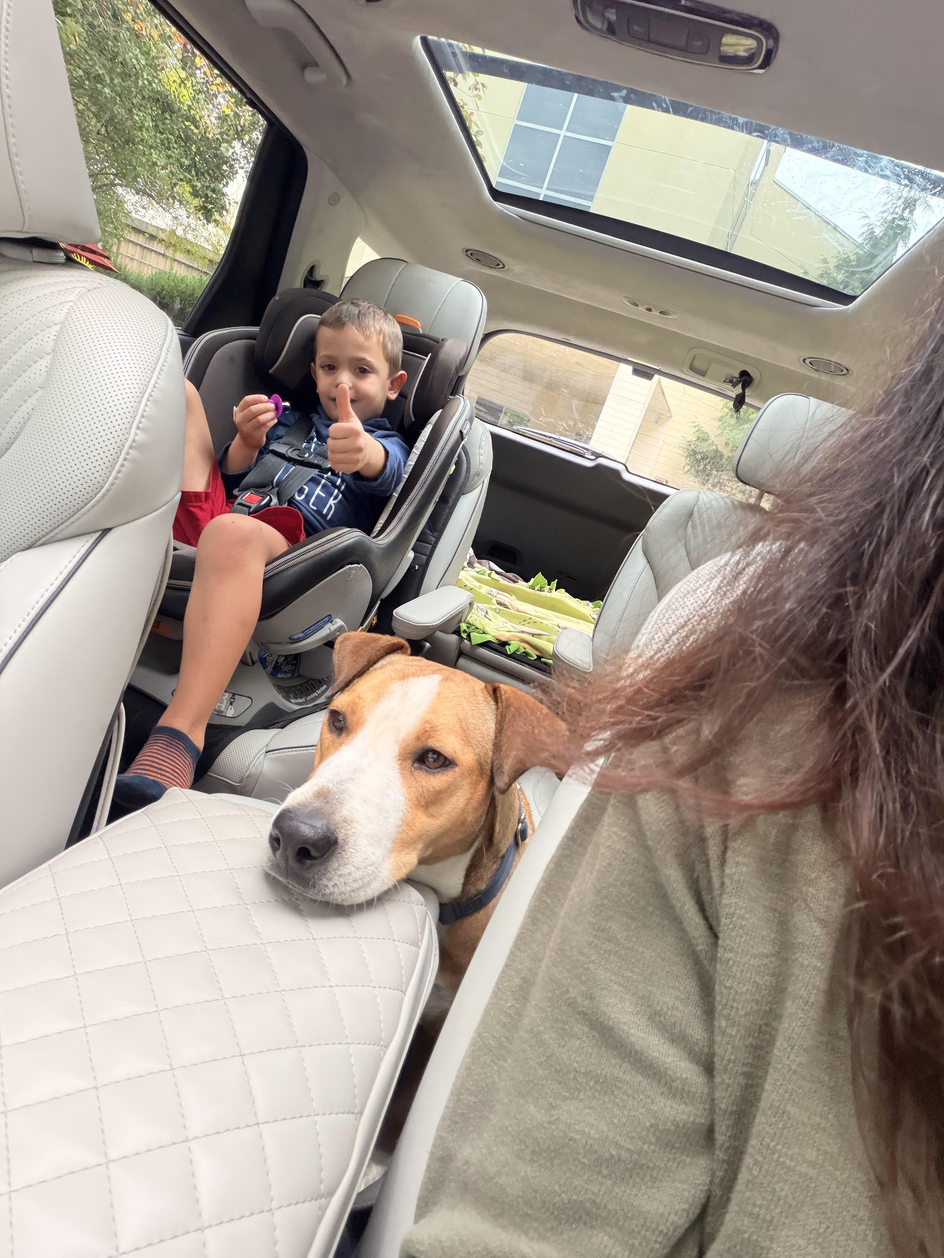 Blueberry, a Adoptable mixed breed in Yonkers, NY image 4/6