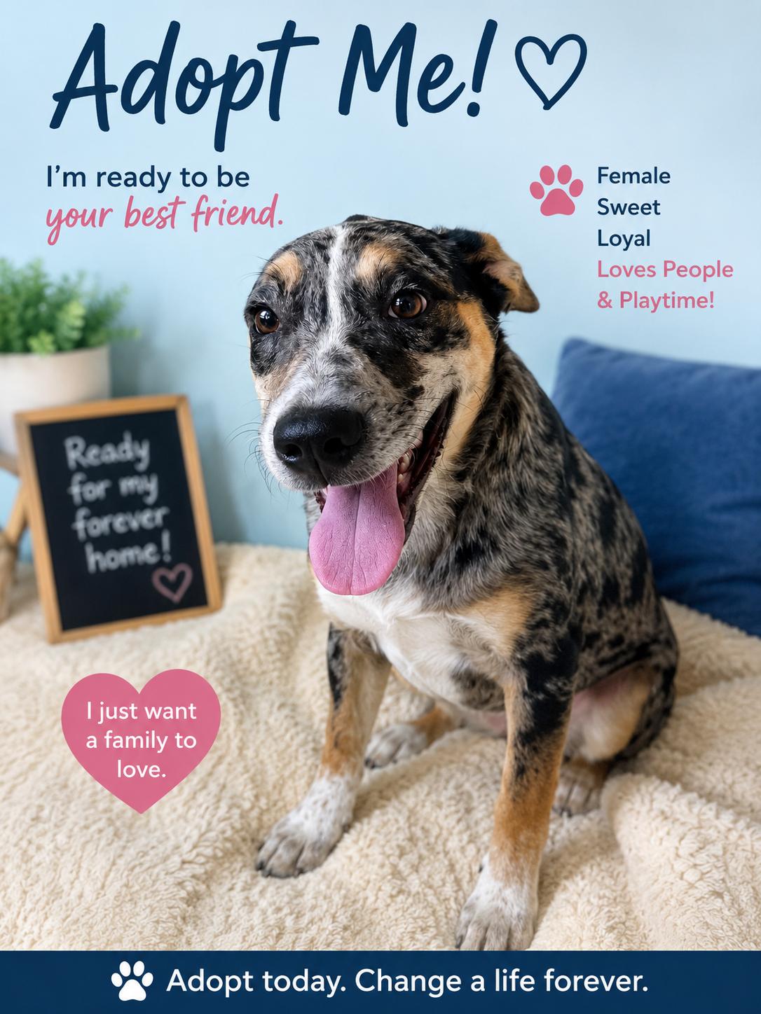 Enlarge Ella, a ADOPTABLE mixed breed in thomson, GA image 1/1