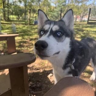 Freya photo