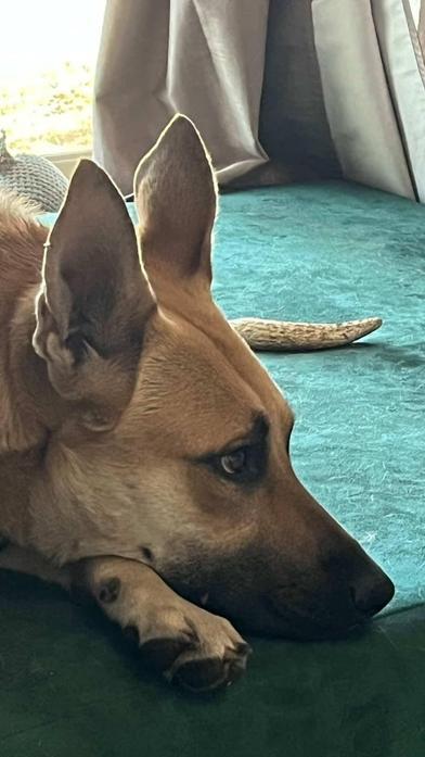 Hanson — thumbnail 2