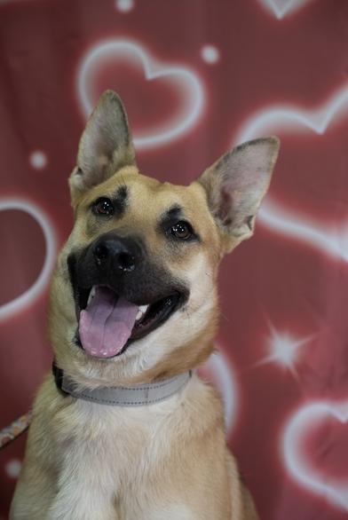 Hanson — thumbnail 3