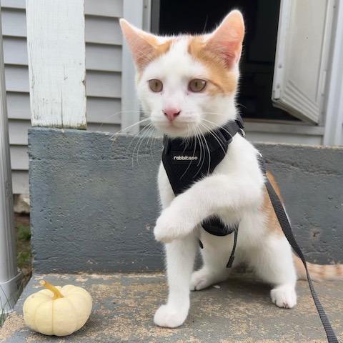 Freddie with Summer, Whitney