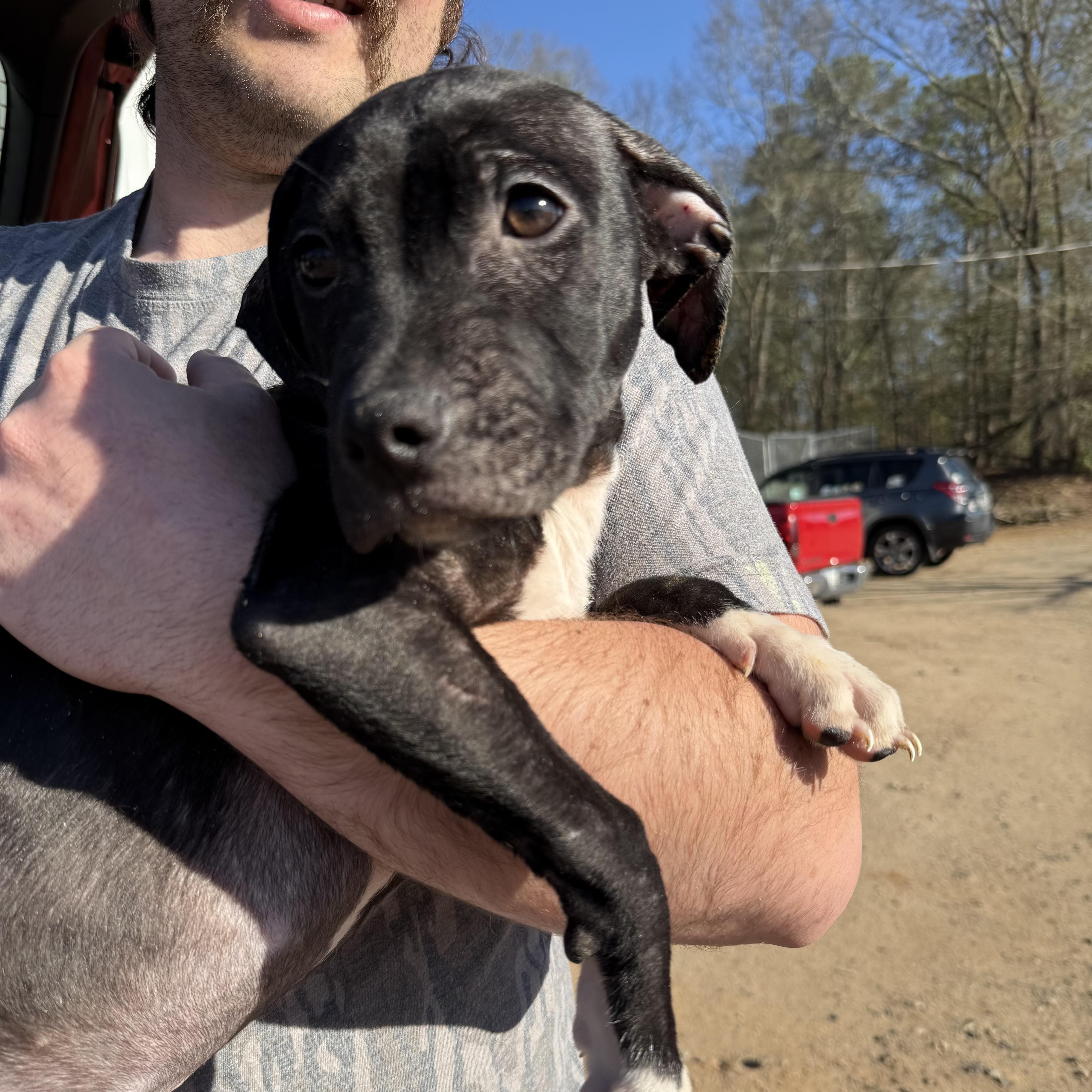 Shin Splints — thumbnail 2