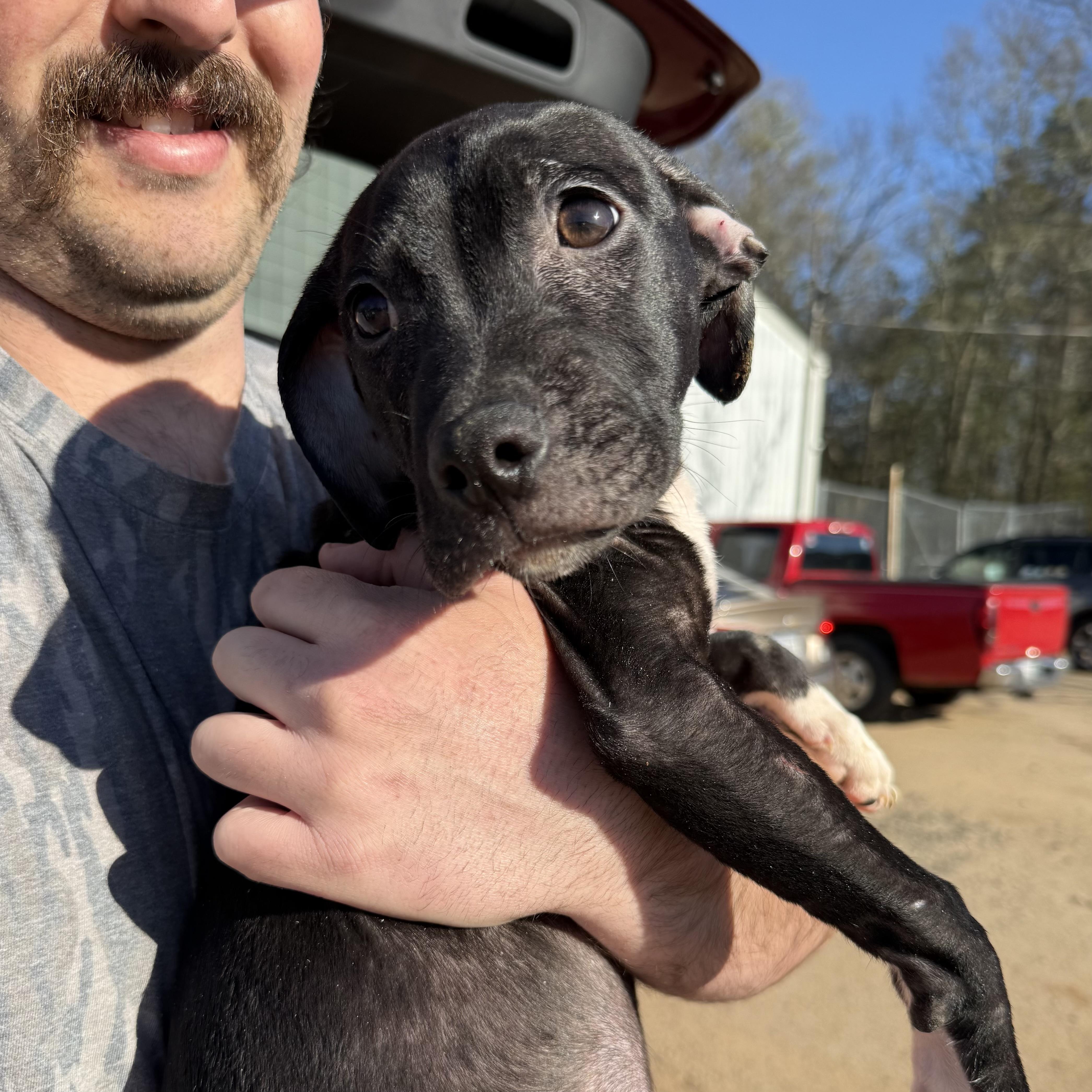 Shin Splints — thumbnail 3