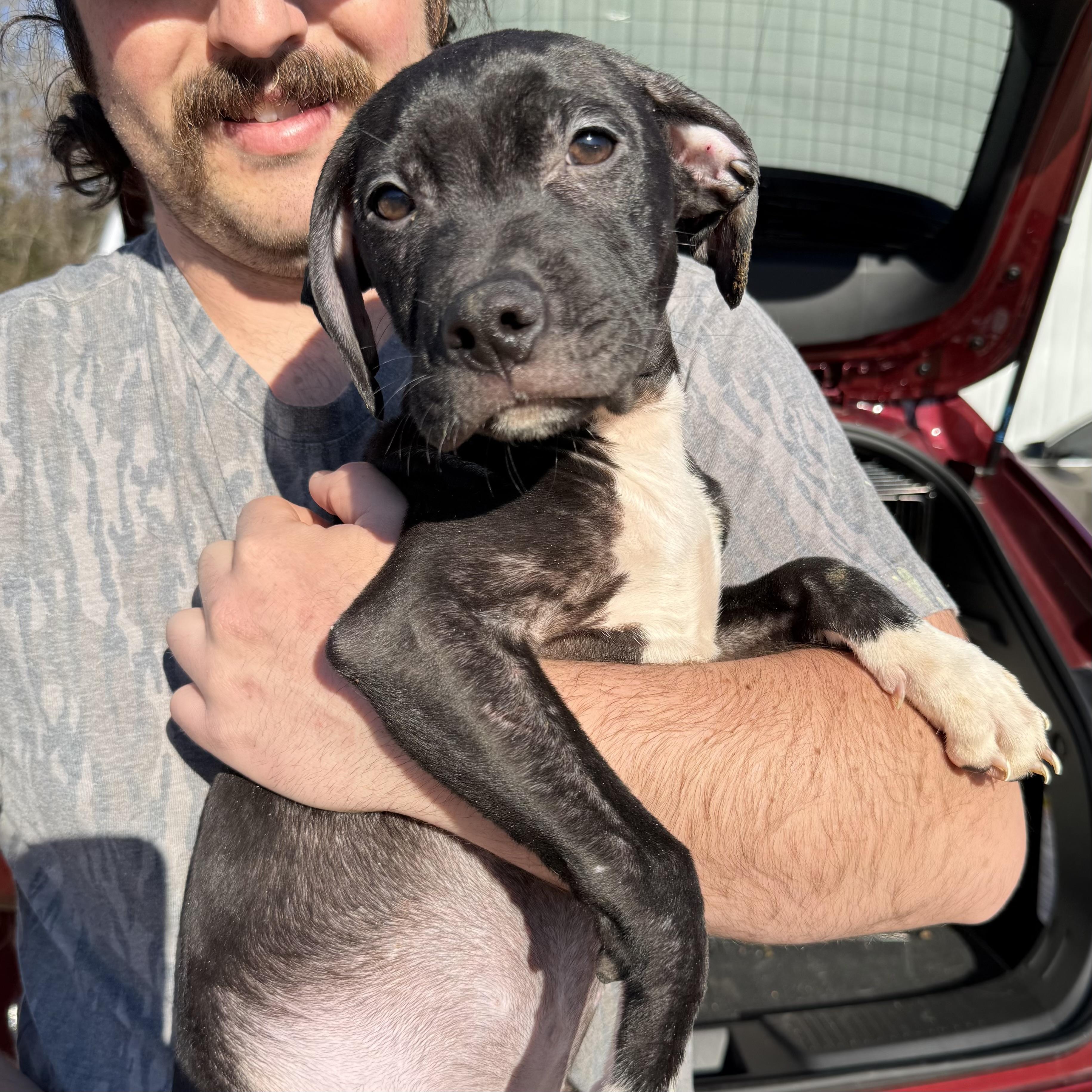 Shin Splints — thumbnail 4